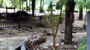 Бетта. Пансионат Южный после грозы 17/18 июля