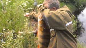 Рыбалка на реке Смердомке 14.06.2014 Чагодощенский район,Вологодской обл