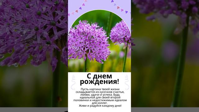 С днем рождения, Альбина! смотреть онлайн