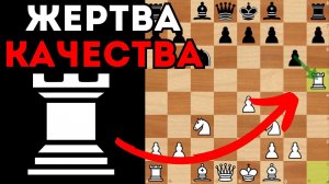 Разгром Сицилианской защиты в мощном гамбите Мора. Шахматный гамбит