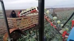 Транспортер НОУТ-6.0 на передней навеске трактора