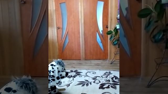 сказка про Ивана царевича и серого волка смотреть онлайн