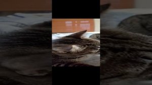 1000004308.mp4