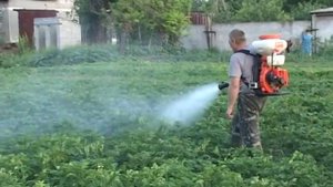 Опрыскивание картофеля