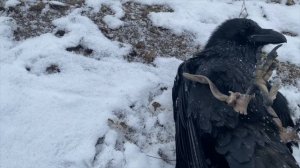 Прогулка с Гошей / Вспомнили, каким он был в детстве.