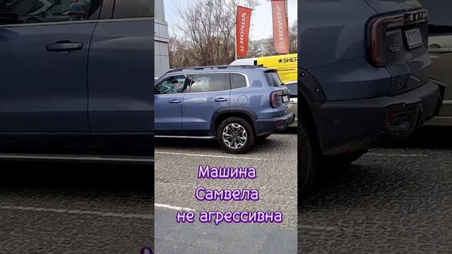 Машина Самвела не агрессивна #самвеладамян