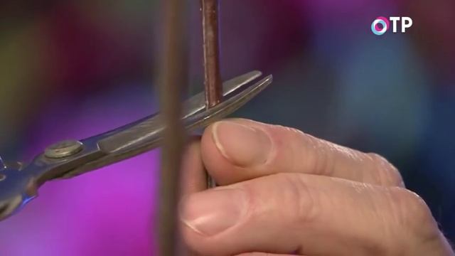 Формирующая обрезка саженцев яблонь и груш