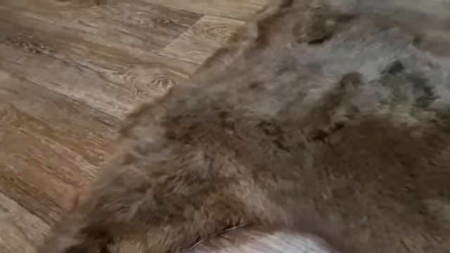 ЯГНЕНОК КОРИЧНЕВЫЙ (КОД: 4365 ) смотреть онлайн