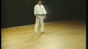6 Heian Godan Shotokan Karate