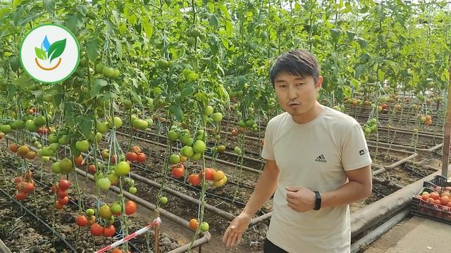 ОЧЕНЬ ВАЖНО! Как правильно применять БИОЛОГИЧЕСКИЕ ФУНГИЦИДЫ смотреть онлайн