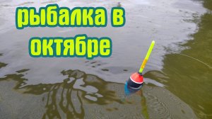 Рыбалка на поплавок в начале октября 2023 на речке