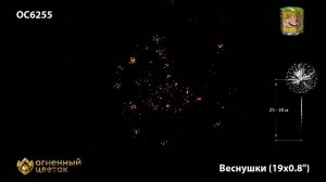 OC6255