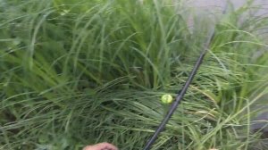 Видео о рыбалке, съёмка видео через накомарник.