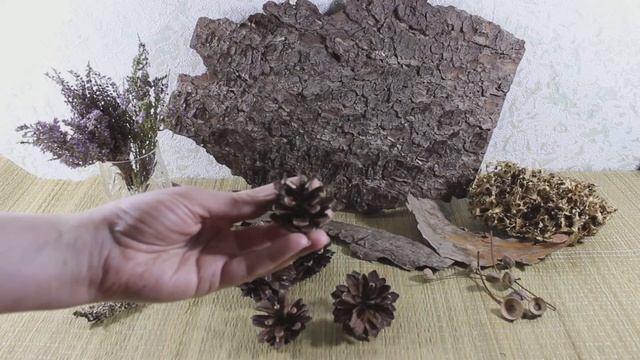 DIY -Моя заготовка природных материалов|Природные материалы для рукоделия