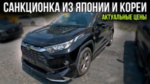 Эксклюзив! Обзор санкционных авто на нашей парковке: Япония и Корея