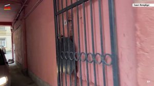 Санкт-Петербург, улица 4-я Советская, дом 31-33/10, Центральный район, весна 2021, Смотридом.