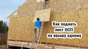 Как одному поднять лист ОСП на крышу по шаткой лестинце и не уронить его