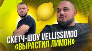 Скетч-шоу VELLISSIMOO «Вырастил лимон»