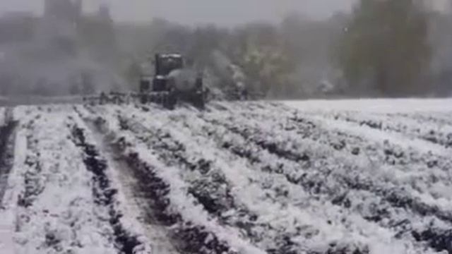 Внесение удобрений Безводный Аммиак NH3 Blu-Jet "ООО Титан-Агро-Спец" смотреть онлайн