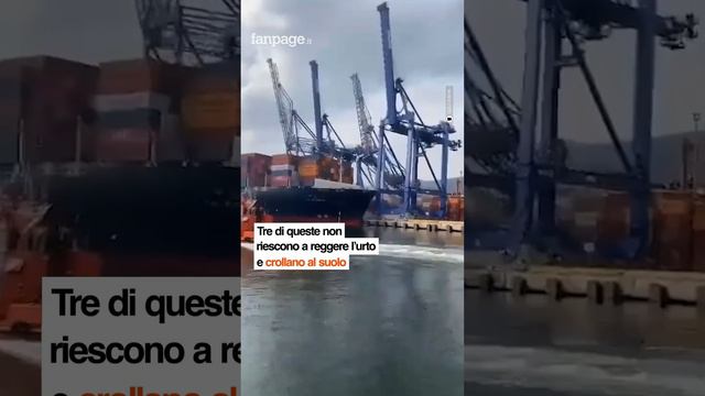 La nave portacontainer colpisce le gru: momenti di panico nel porto