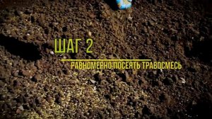 Домашний посев газона. Инструкция к применению