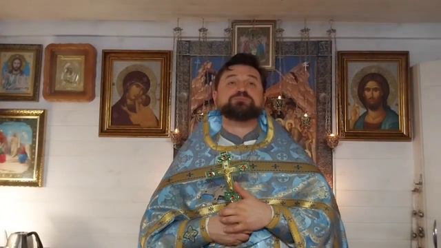 Причина наших скорбей-в нашей жизни. Слово в день Казанской иконы Богородицы. Прот.Сергий. 4.11.22г смотреть онлайн