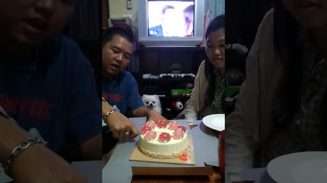 HBD. KIB смотреть онлайн