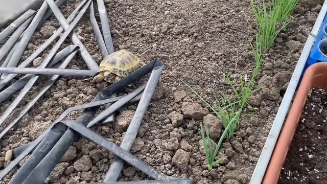 765❤️Покой нам только снится. смотреть онлайн