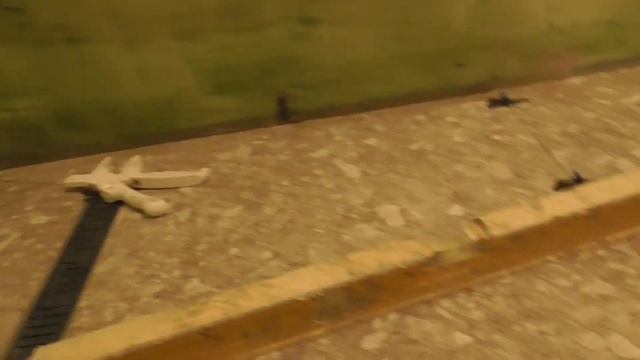 Укладка плитки в туалете. Углы сохнут. Дизайнерский ремонт трешки МКР Вересаево смотреть онлайн