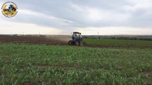 МТЗ 82 с культиватором КПС 4 на парах
