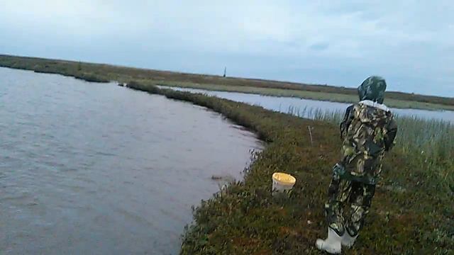 Окунь с большой буквы смотреть онлайн