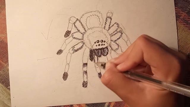 Как нарисовать паука Арагог Гарри Поттер Рисунок на хэллоуин