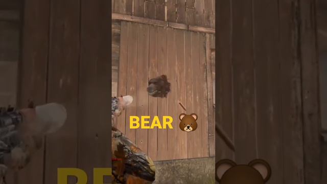 Dayz,  Bear In Cabin #ashesantics #dayz #shortsfeed