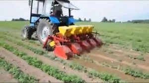 Культиватор фрезерный КФ-2,8, КФ- 4,2 для тракторов тягового класса 1,4