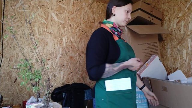 Как я упаковываю клематисы. Часть 1 смотреть онлайн