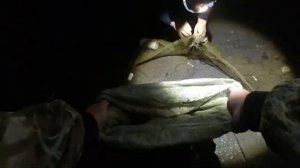 Рыбалка Бреднем. август 2022. Отличный улов.Fishing. Not sporty.