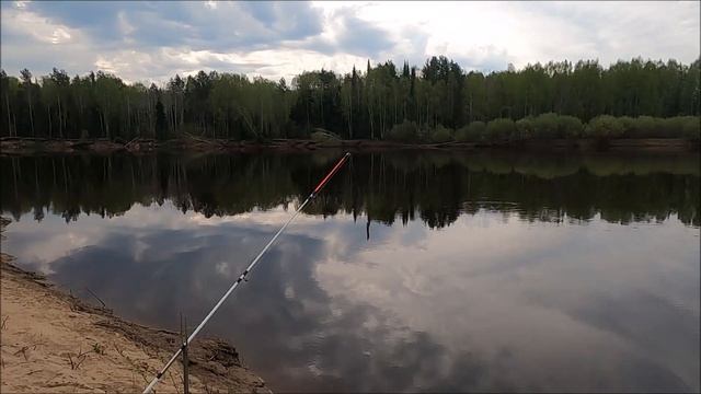 ОТЛИЧНОЕ ОТКРЫТИЕ СЕЗОНА НА ПОПЛАВОЧКУ