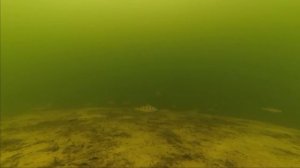 Рыбалка г.Михайловка