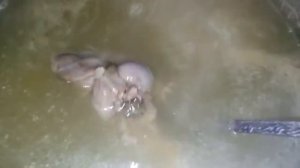 Рассольник из зеленых соленых помидор.