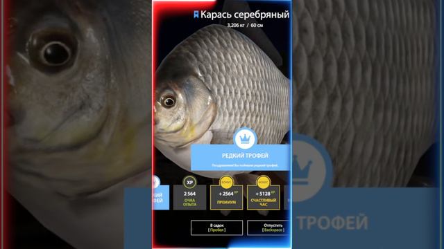 Редкий трофей Карася на Ладожском озере в РР4!!