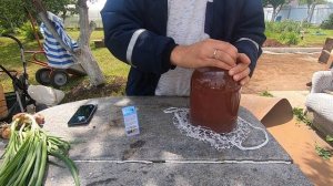 Устраняем запах в дачном туалете живыми Эм бактериями Тамир