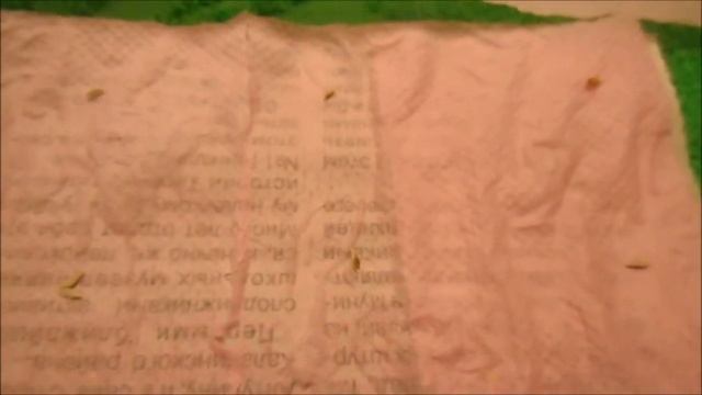 ✅ ? И НИКАКОГО КЛЕЙСТЕРА! СНОВА про ПОСЕВ ВПРОК БЕЗ КЛЕЙСТЕРА! Пока есть время... ??? смотреть онлайн