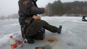 УКЛЕЙКА Можайское вдхр ловля уклейки зимняя рыбалка по последнему льду на водохранилище