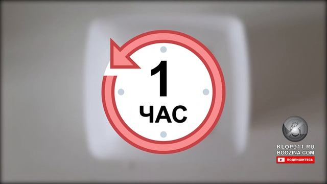 Как быстро высохший Фас убил тараканов?