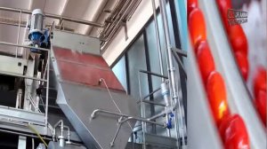 Производство томатной пасты   Переработка томатов