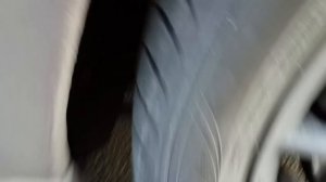 Отзыв обзор Мазда6 ( Mazda6). 2.3 AT. 160 (166) Л.с.