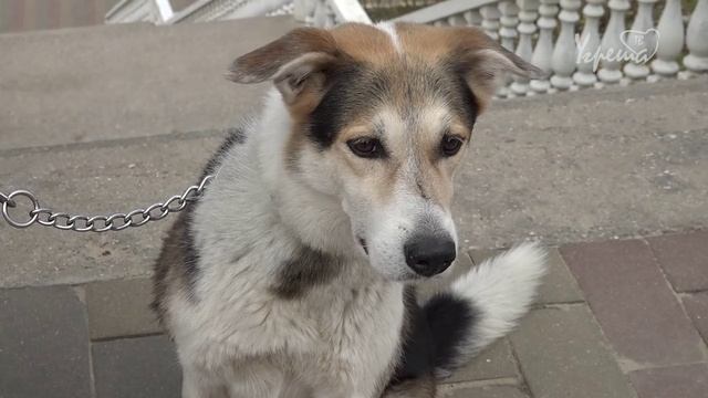 Меры безопасности на льду