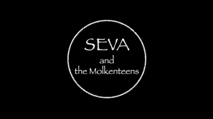 Seva & the Molkenteens - Нунчаки Цоя (UB70 Live 20.02.2023)