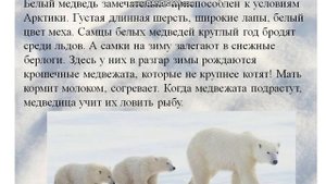 Окружающий мир 1 класс  Тема  урока Где живут белые медведи
