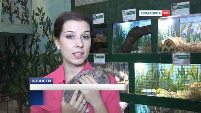 Ночные жители Тропикпарка смотреть онлайн